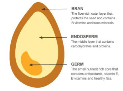 grain-diagram