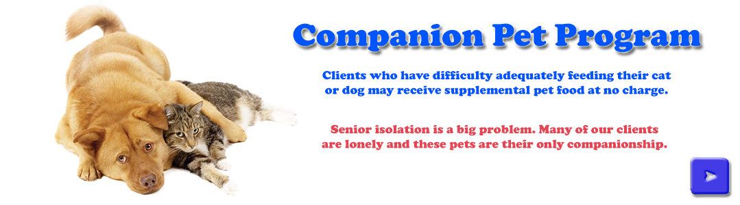 Companion Pet Program