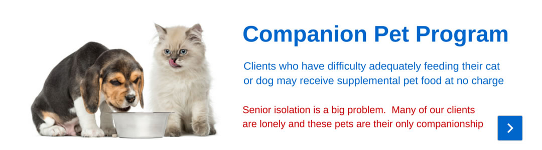 Companion Pet Program