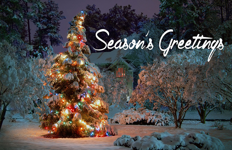 Snow Covered Tree Holiday Card