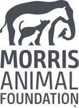 Morris Animal Foundation